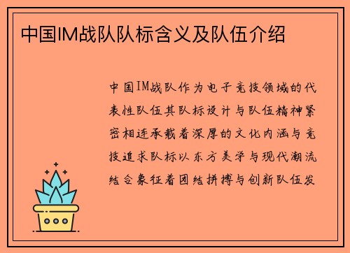 中国IM战队队标含义及队伍介绍
